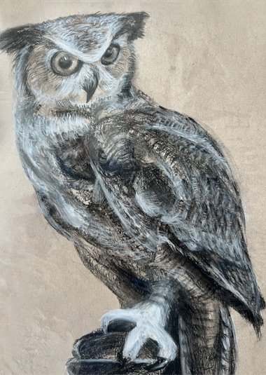 portfolio item 4：综合色彩 | Mixed Color